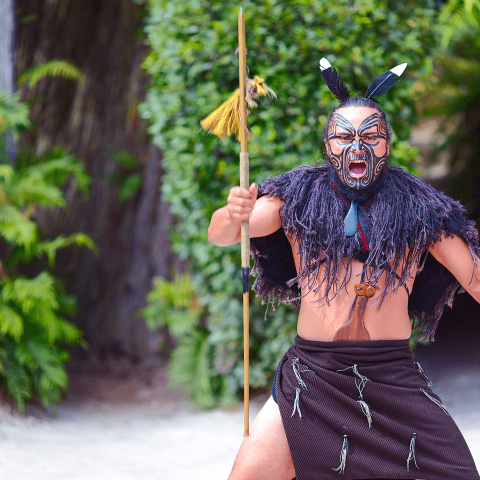 Rotorua Maori Tribes
