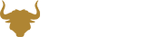 Image module